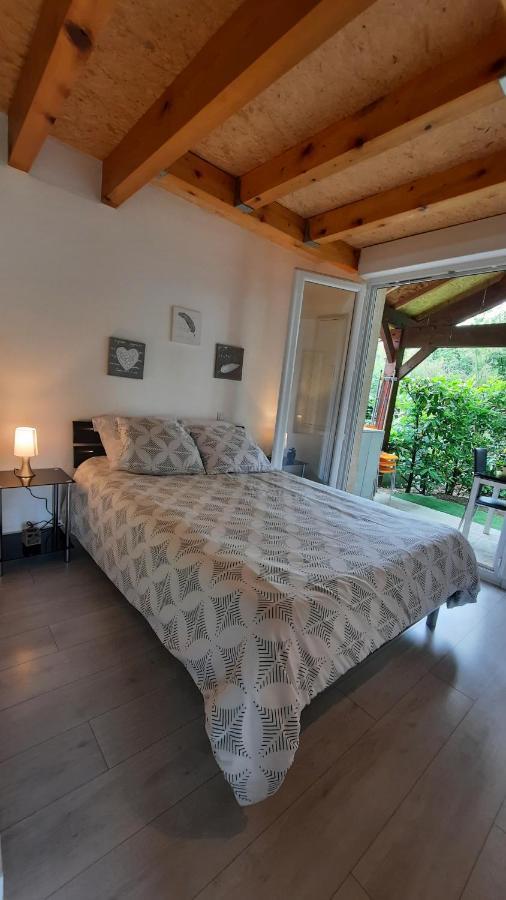 Promo 2-9Juin Gite 6 Personnes Toulouse 7Mn Du Metro 4 Lits Terrasses Gragnague المظهر الخارجي الصورة